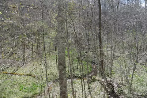 tbd Unity Rd, Bluefield, VA 24605 photo 15