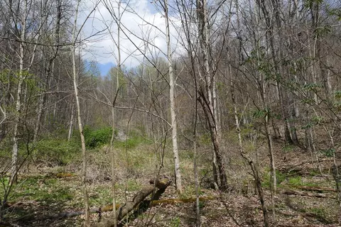 tbd Unity Rd, Bluefield, VA 24605 photo 55