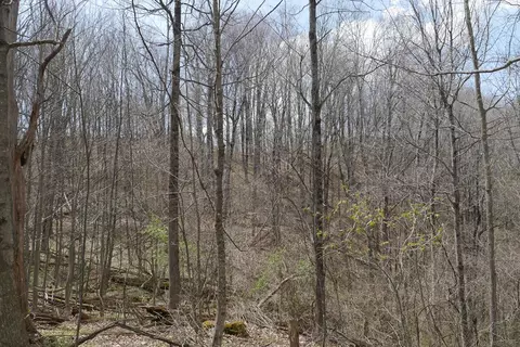 tbd Unity Rd, Bluefield, VA 24605 photo 75