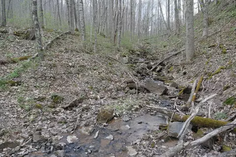 tbd Unity Rd, Bluefield, VA 24605 photo 14