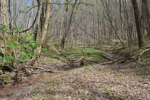tbd Unity Rd, Bluefield, VA 24605 photo 37