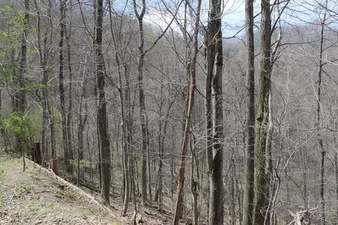 tbd Unity Rd, Bluefield, VA 24605 photo 89
