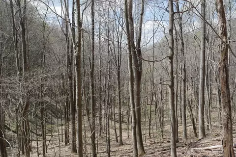 tbd Unity Rd, Bluefield, VA 24605 photo 44