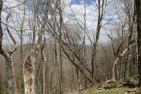 tbd Unity Rd, Bluefield, VA 24605 photo 24