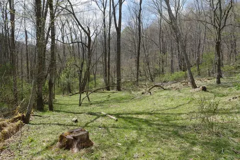 tbd Unity Rd, Bluefield, VA 24605