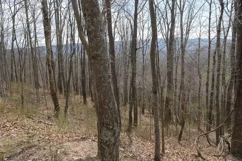 tbd Unity Rd, Bluefield, VA 24605 photo 63