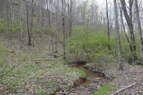 tbd Unity Rd, Bluefield, VA 24605 photo 17