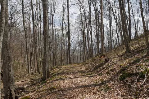 tbd Unity Rd, Bluefield, VA 24605 photo 53