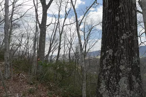 tbd Unity Rd, Bluefield, VA 24605 photo 23