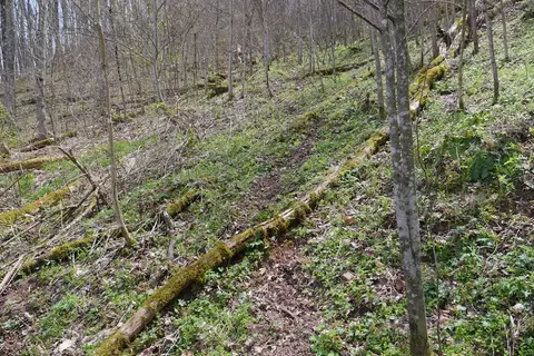 tbd Unity Rd, Bluefield, VA 24605 photo 57