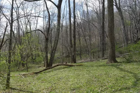tbd Unity Rd, Bluefield, VA 24605 photo 28