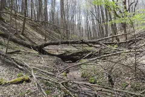 tbd Unity Rd, Bluefield, VA 24605 photo 36