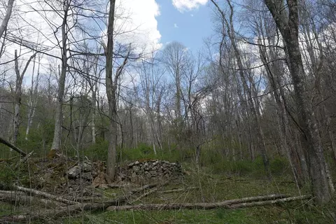 tbd Unity Rd, Bluefield, VA 24605 photo 34