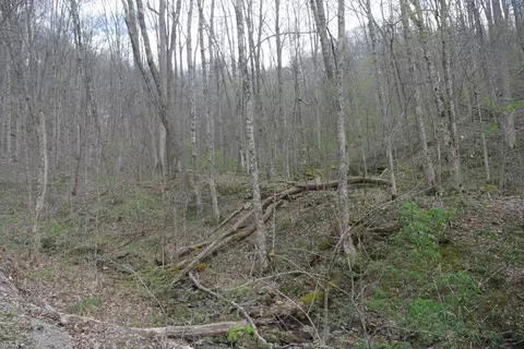 tbd Unity Rd, Bluefield, VA 24605 photo 13