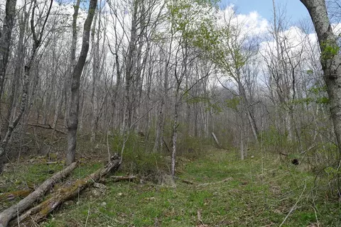 tbd Unity Rd, Bluefield, VA 24605 photo 32