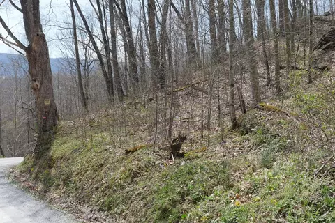 tbd Unity Rd, Bluefield, VA 24605 photo 12