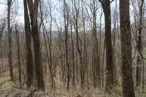 tbd Unity Rd, Bluefield, VA 24605 photo 61
