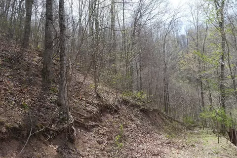 tbd Unity Rd, Bluefield, VA 24605 photo 90