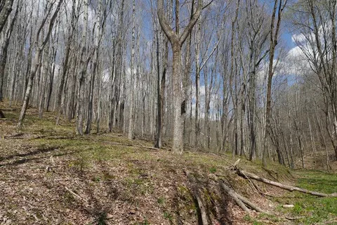 tbd Unity Rd, Bluefield, VA 24605 photo 4