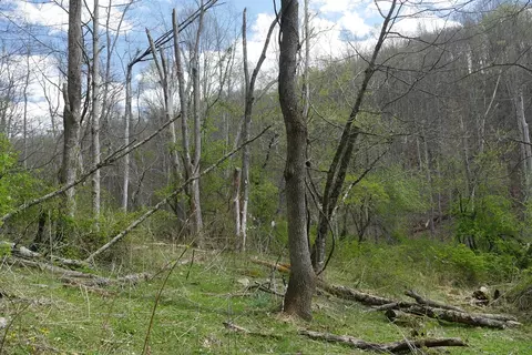 tbd Unity Rd, Bluefield, VA 24605 photo 31