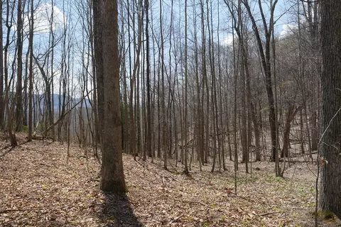 tbd Unity Rd, Bluefield, VA 24605 photo 6