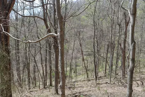 tbd Unity Rd, Bluefield, VA 24605 photo 62