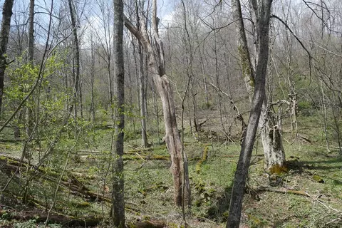 tbd Unity Rd, Bluefield, VA 24605 photo 80