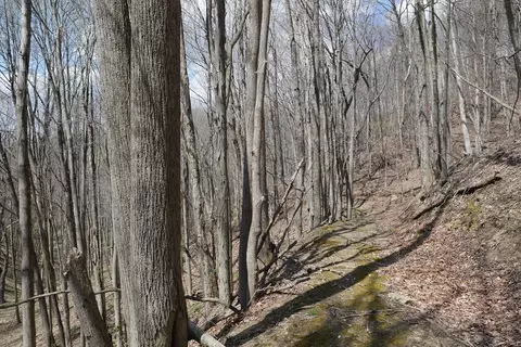 tbd Unity Rd, Bluefield, VA 24605 photo 46