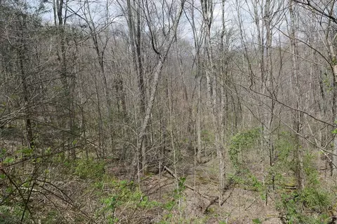 tbd Unity Rd, Bluefield, VA 24605 photo 88