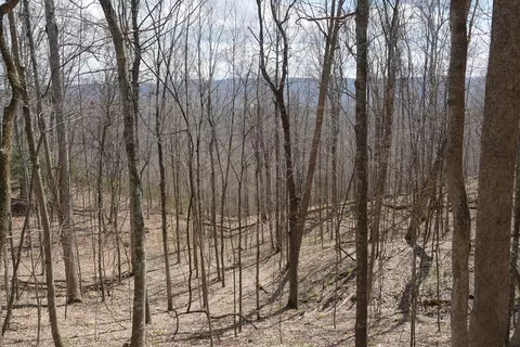 tbd Unity Rd, Bluefield, VA 24605 photo 52