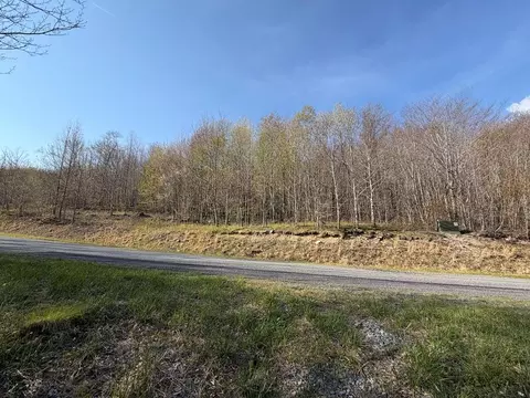 tbd Holiday Ln, Whitetop, VA 24292