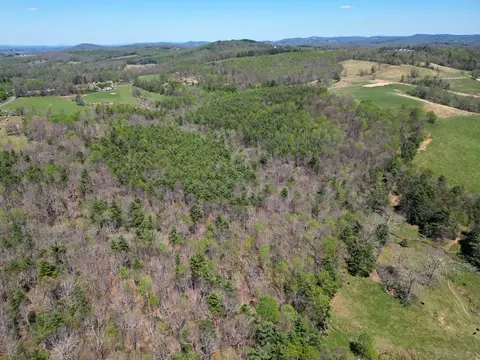 716 Tbd, Fancy Gap, VA 24333 photo 11