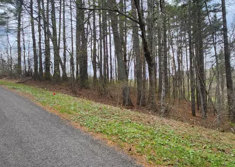 lot28 Manor House Dr, Laurel Fork, VA 24352