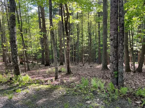 Exterior - 542 Chestnut Falls Ln, Galax, VA 24333 photo 26 of 33
