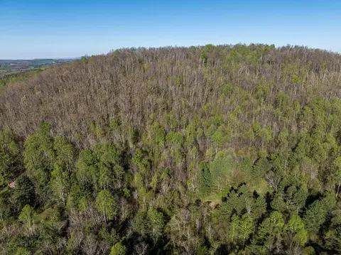 tbd Danville Pike Rd, Meadows Of Dan, VA 24120