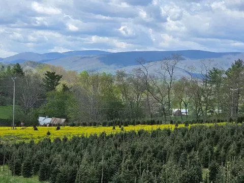 tbd Rabbit Fork Rd, Troutdale, VA 24378