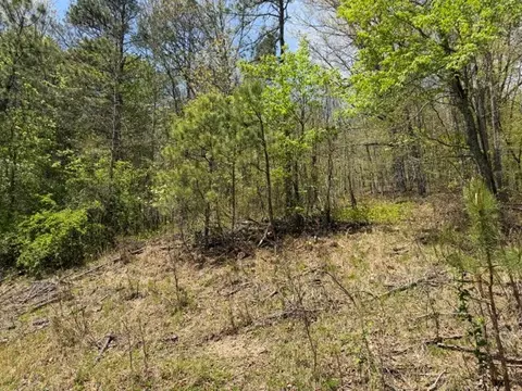 Other - 3361 Daw Rd, Cedar Bluff, VA 24609 photo 6 of 10