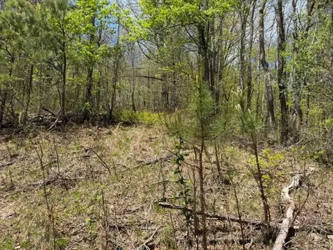 Exterior - 3361 Daw Rd, Cedar Bluff, VA 24609 photo 6 of 8