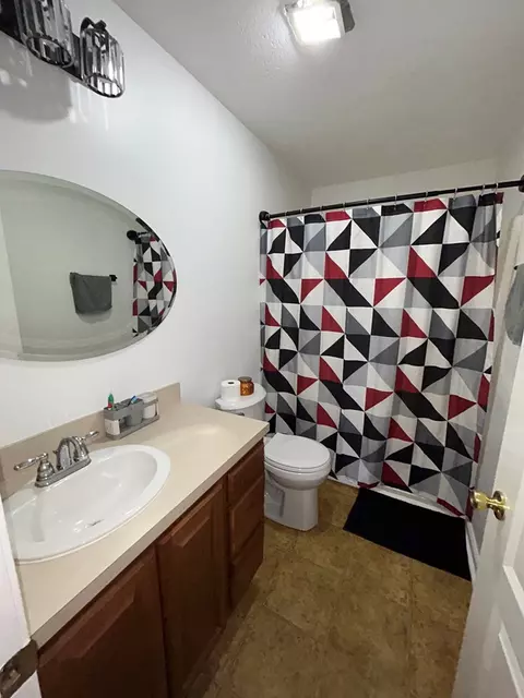 Bath - 177 Pleasant Pines Dr, Max Meadows, VA 24360 photo 5 of 5