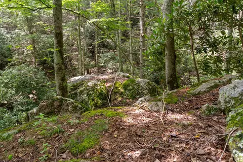 Other - 4251 Riverside Dr, Independence, VA 24348 photo 3 of 6