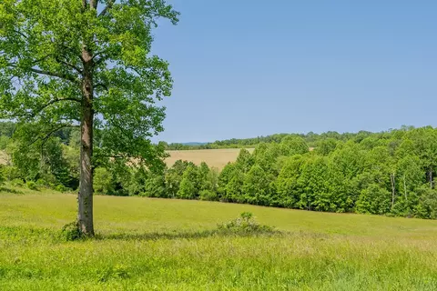 25 Acres Danville Pike, Laurel Fork, VA 24352 photo 20
