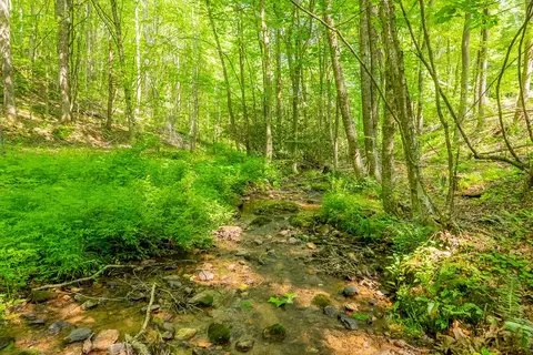 25 Acres Danville Pike, Laurel Fork, VA 24352 photo 14