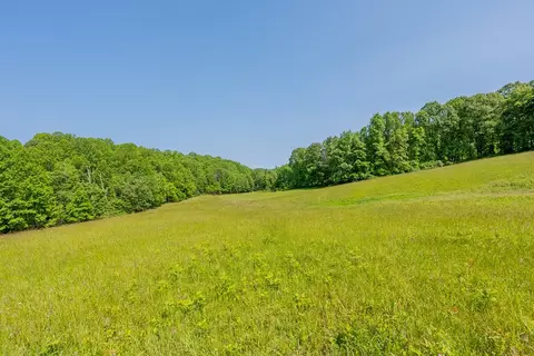 25 Acres Danville Pike, Laurel Fork, VA 24352 photo 17