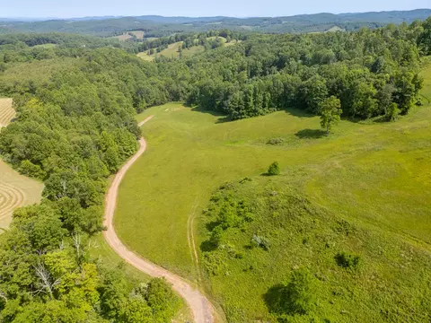 25 Acres Danville Pike, Laurel Fork, VA 24352 photo 8