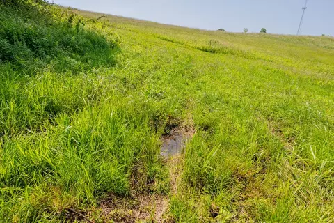 25 Acres Danville Pike, Laurel Fork, VA 24352 photo 19