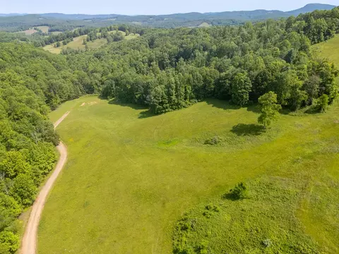 25 Acres Danville Pike, Laurel Fork, VA 24352 photo 9