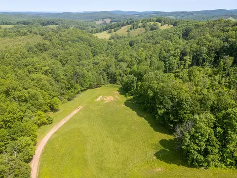 25 Acres Danville Pike, Laurel Fork, VA 24352 photo 11