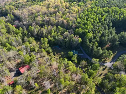 View/Area - 157 Double Bridges Dr, Fancy Gap, VA 24328 photo 3 of 8