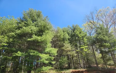 46 Silverleaf Rd, Hillsville, VA 24343