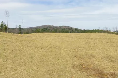 tbd Carsonville Rd, Independence, VA 24348 photo 8